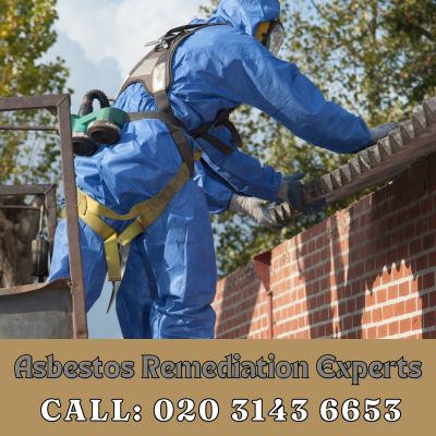 Asbestos Remediation Experts Gants Hill