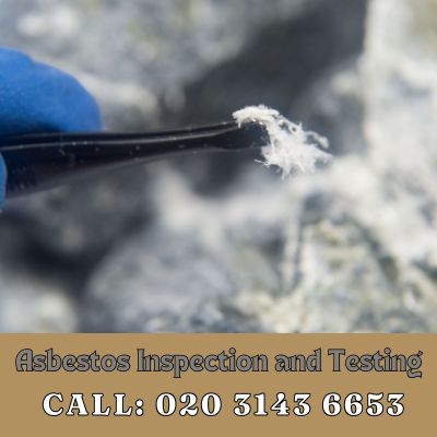 Comprehensive Asbestos Inspection and Testing Services in Gants Hill